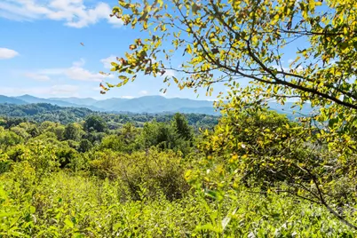 1231 Baileys Branch Road #3, Marshall, NC 28753 - Photo 29