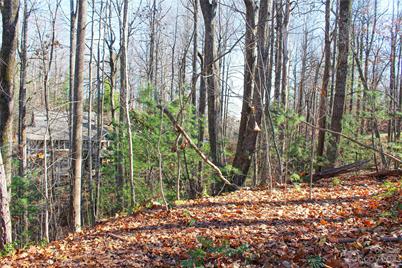 74 Poplar Forest Trace #107, Hendersonville, NC 28739 - Photo 11