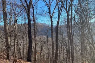 000 Wash Freeman Rd, Hendersonville, NC 28792 - Photo 1