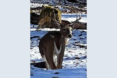 000 Chestnut Lane #80, Mars Hill, NC 28754 - Photo 5