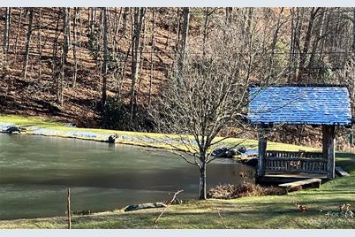 000 Puncheon Lane #170, Mars Hill, NC 28754 - Photo 7