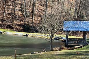 000 Puncheon Ln, Mars Hill, NC 28754 - Photo 7