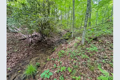 149 Painter Road, Banner Elk, NC 28604 - Photo 17