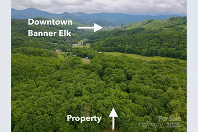 149 Painter Road, Banner Elk, NC 28604 - Photo 35