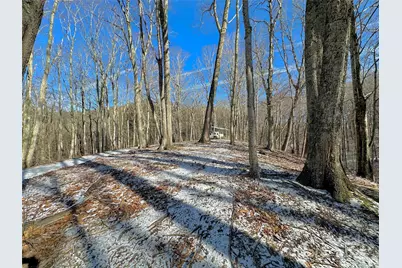 149 Painter Road, Banner Elk, NC 28604 - Photo 33