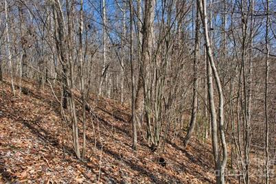 0 Woodstock Lane #170, Rutherfordton, NC 28139 - Photo 5