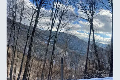 Lot 13 Austin Mountain Drive #13/3, Burnsville, NC 21714 - Photo 19