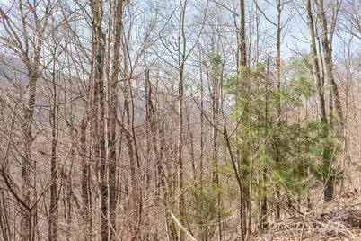 Lot 13 Austin Mountain Drive #13/3, Burnsville, NC 21714 - Photo 9