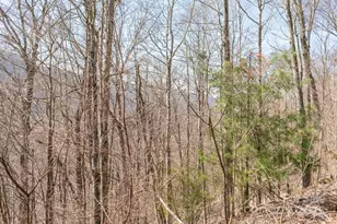 Lot 13 Austin Mountain Dr, Burnsville, NC 21714 - Photo 9