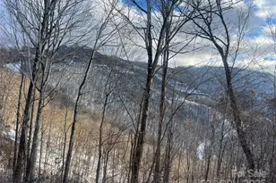 Lot 13 Austin Mountain Dr, Burnsville, NC 21714 - Photo 15