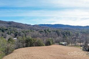 66 Fox Br Rd, Fairview, NC 28730 - Photo 29