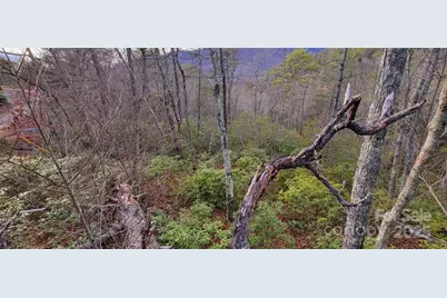 V/L Chickasaw Way #2B, Marion, NC 28752 - Photo 11