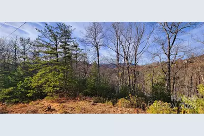 V/L Chickasaw Way #2B, Marion, NC 28752 - Photo 9