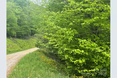 22 Zebulon Lane, Mars Hill, NC 28754 - Photo 3