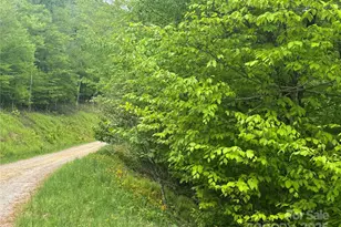 22 Zebulon Ln, Mars Hill, NC 28754 - Photo 3