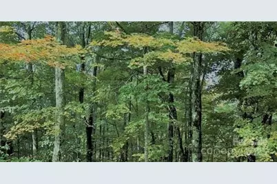 22 Zebulon Lane, Mars Hill, NC 28754 - Photo 11