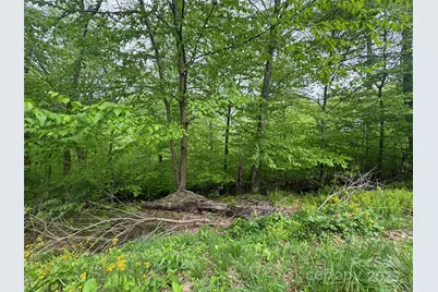 22 Zebulon Lane, Mars Hill, NC 28754 - Photo 1