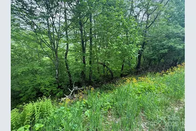 22 Zebulon Lane, Mars Hill, NC 28754 - Photo 9