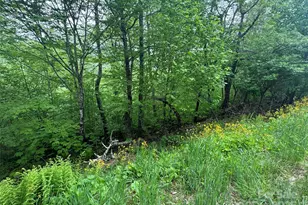 22 Zebulon Ln, Mars Hill, NC 28754 - Photo 9