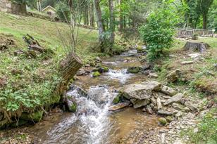 Lot 42 Black Bear Run, Mars Hill, NC 28754 - Photo 23