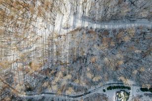 Lot 8 Settlement Way, Mars Hill, NC 28754 - Photo 3