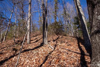 Lot# 502 Fire Crest Lane, Lenoir, NC 28645 - Photo 29