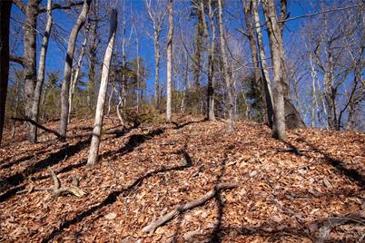 Lot# 502 Fire Crest Lane, Lenoir, NC 28645 - Photo 27