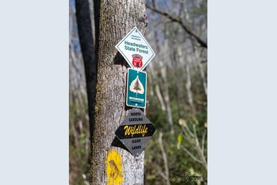 315 Garren Creek Road, Brevard, NC 28712 - Photo 7