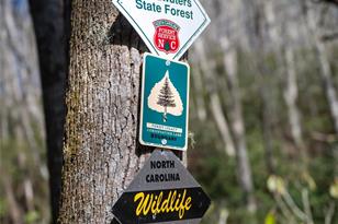 315 Garren Crk Rd, Brevard, NC 28712 - Photo 7