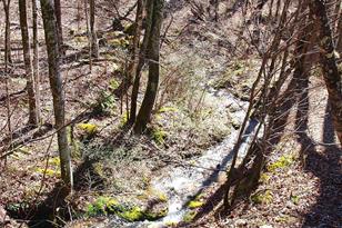 664 Woodfin Rd, Sylva, NC 28779 - Photo 27