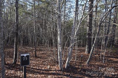 Lot 75 Tayberry Drive, Nebo, NC 28761 - Photo 9