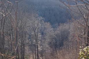 9999 Still Spring Rd, Black Mountain, NC 28711 - Photo 1