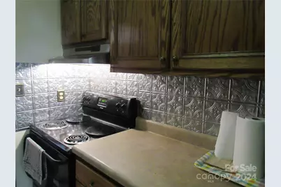 171 Fox Run Road, Forest City, NC 28043 - Photo 7