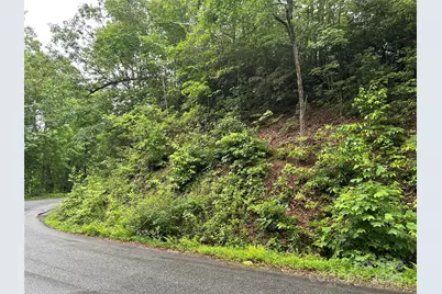 00 Howell Road, Brevard, NC 28712 - Photo 19