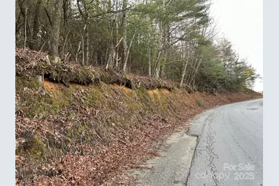 00 Howell Road, Brevard, NC 28712 - Photo 7