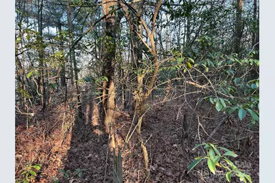 00 Howell Road, Brevard, NC 28712 - Photo 15
