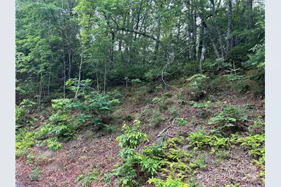 00 Howell Road, Brevard, NC 28712 - Photo 21