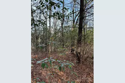 00 Howell Road, Brevard, NC 28712 - Photo 17