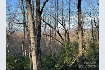 00 Howell Road, Brevard, NC 28712 - Photo 1