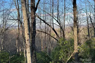 00 Howell Rd, Brevard, NC 28712 - Photo 1