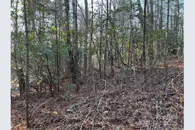 00 Howell Road, Brevard, NC 28712 - Photo 3