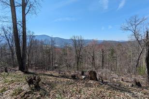 001 Shoal Pond Cove, Burnsville, NC 28714 - Photo 41