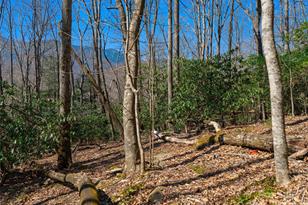 000 Big Ridge Rd, Burnsville, NC 28714 - Photo 19