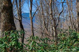 000 Big Ridge Rd, Burnsville, NC 28714 - Photo 23