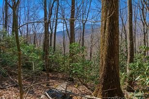 000 Big Ridge Rd, Burnsville, NC 28714 - Photo 3