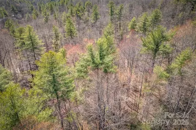 205 Claridge Way, Hendersonville, NC 28739 - Photo 13