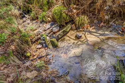 205 Claridge Way, Hendersonville, NC 28739 - Photo 19