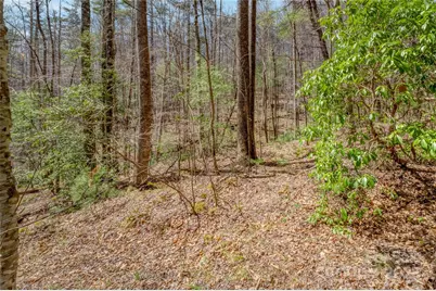 205 Claridge Way, Hendersonville, NC 28739 - Photo 27