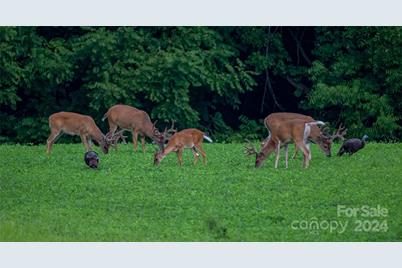 229 Joseph Kershaw Road, Eastover, SC 29044 - Photo 45