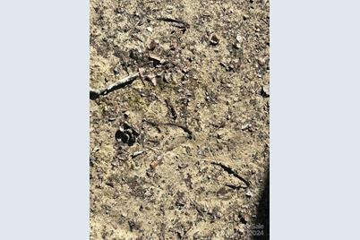 4 Ac Ashley Road, Indian Land, SC 29707 - Photo 5